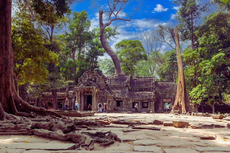 Ta Prohm temple ruins in Angkor, Cambodia, featured in Indochina tour packages